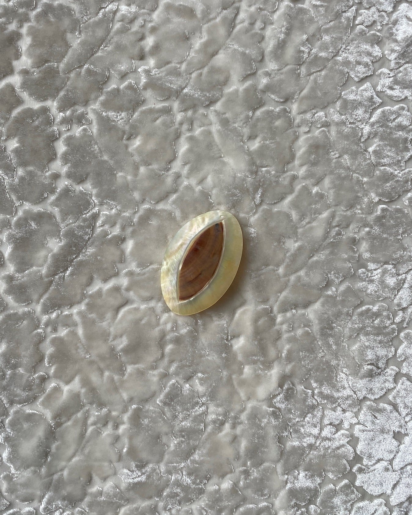 Vintage Shell Brooch