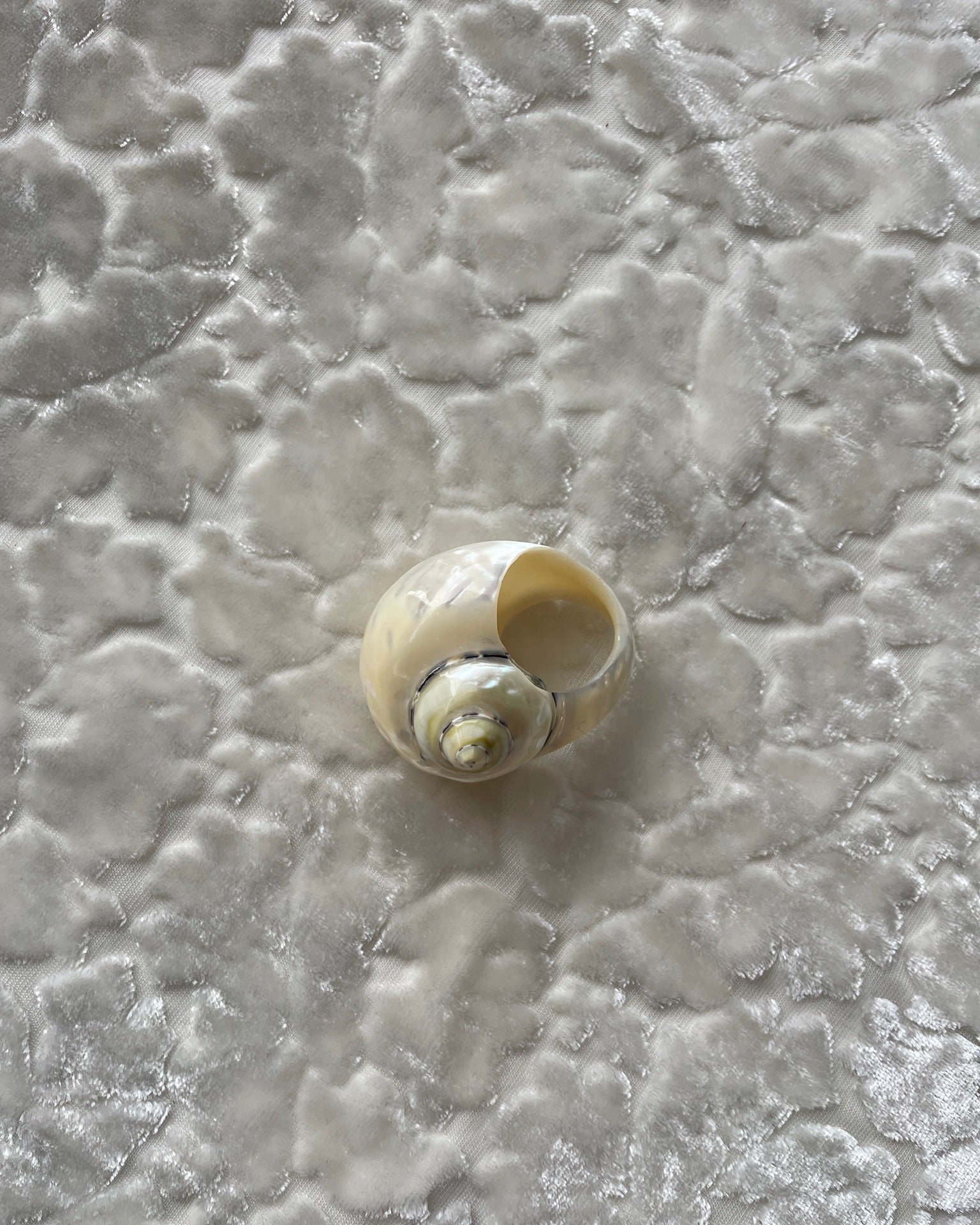 Vintage Shell Ring